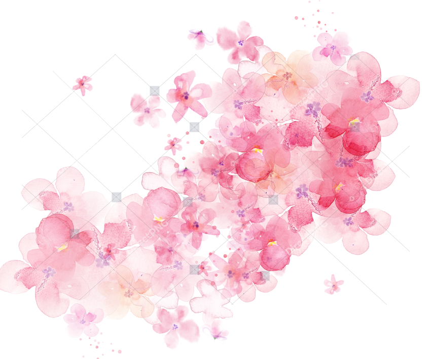 Watercolour Flowers Watercolor Pink Flowers