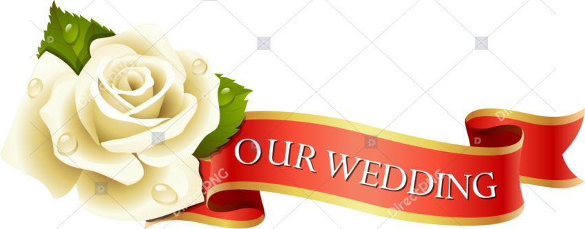 White Rose with Ribbon PNG