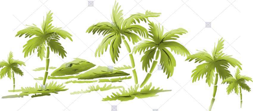 Palm Cluster PNG Illustration Isolated