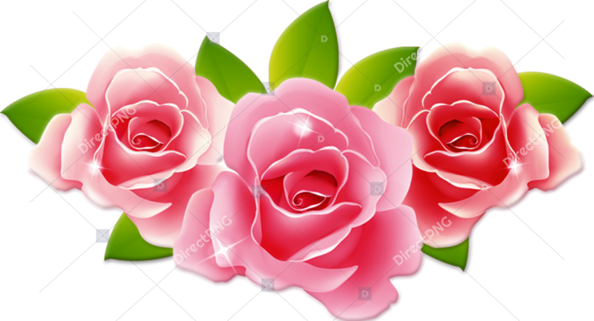 Classic Red Rose PNG