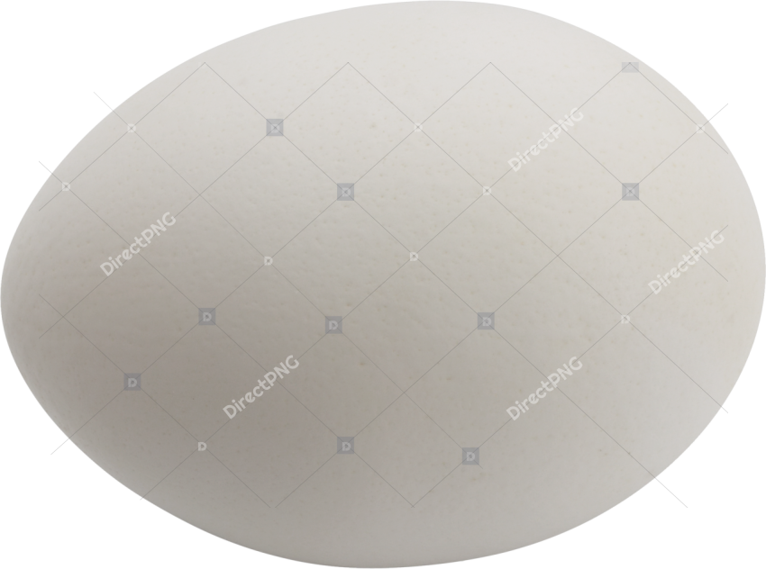 Single White Egg PNG