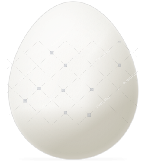 Single White Egg Isolated PNG
