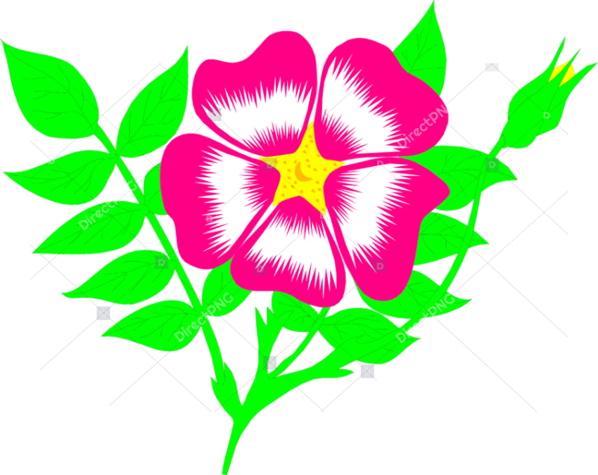 Free Illustrations Download Clip Flower Animation Png