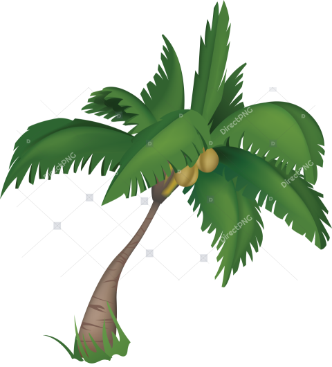 Palm Tree Silhouette PNG Sunset Illustration