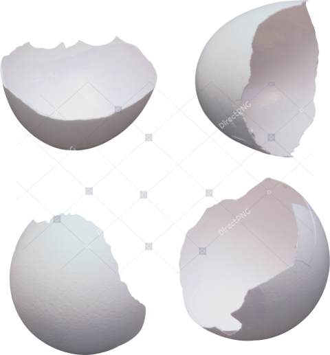 Eggshell Broken PNG