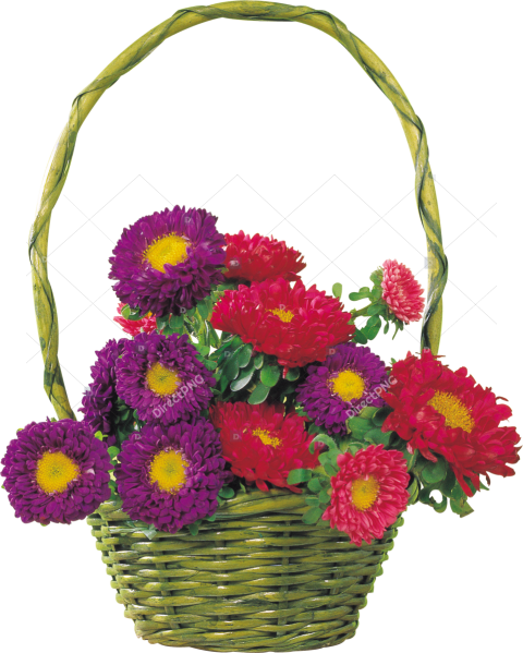 Flower Basket with Purple & Yellow PNG