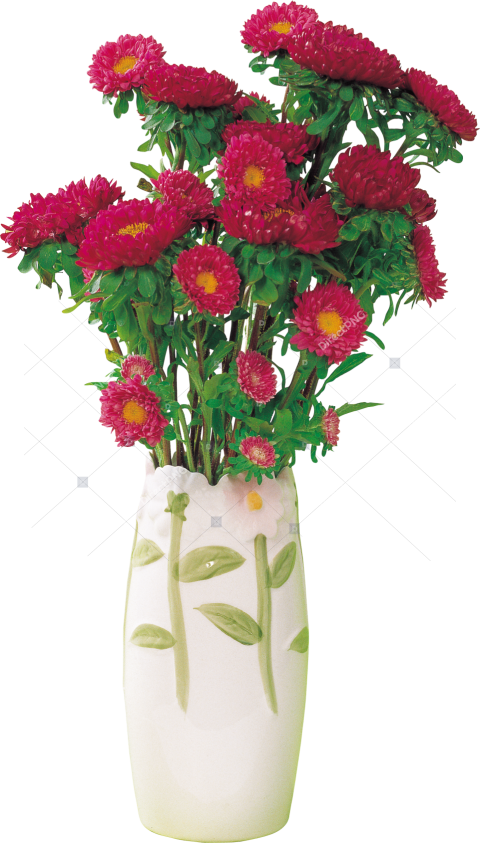 Red Roses in a Vase PNG