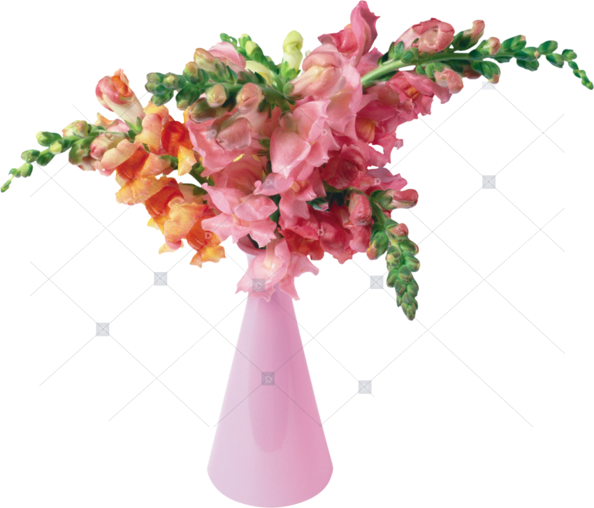 Flower,cut Flower,sweet Flower Vase Png Transparent