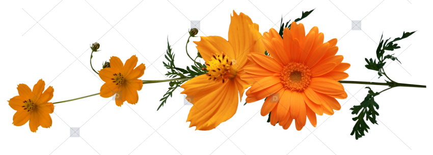 Orange & Yellow Floral Arrangement PNG