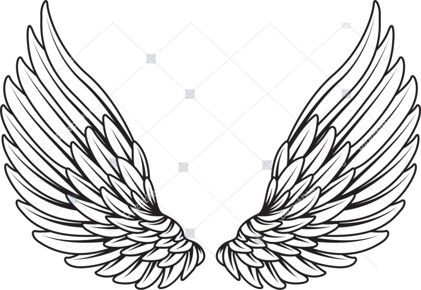 Drawing Angel Cartoon