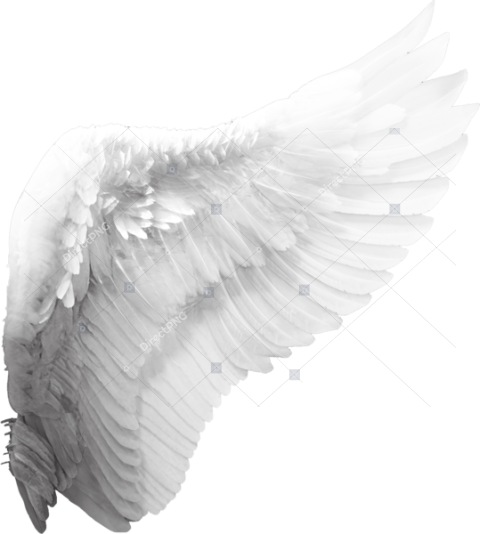 Cherub Angel Cartoon