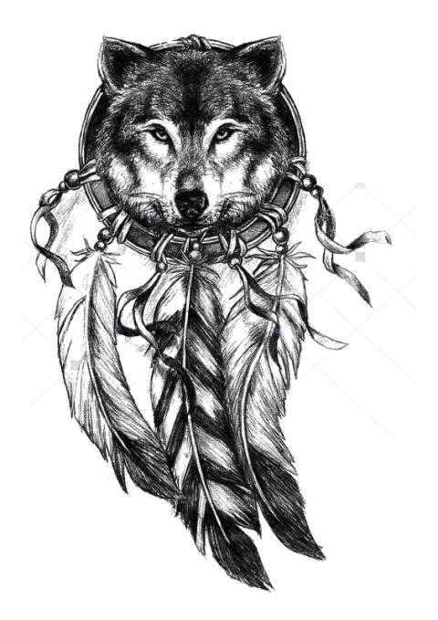 Gray Wolf Wolf Drawing