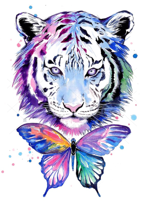 Tiger Tiger Cartoon