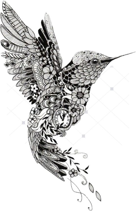 Hummingbird Book Black And White