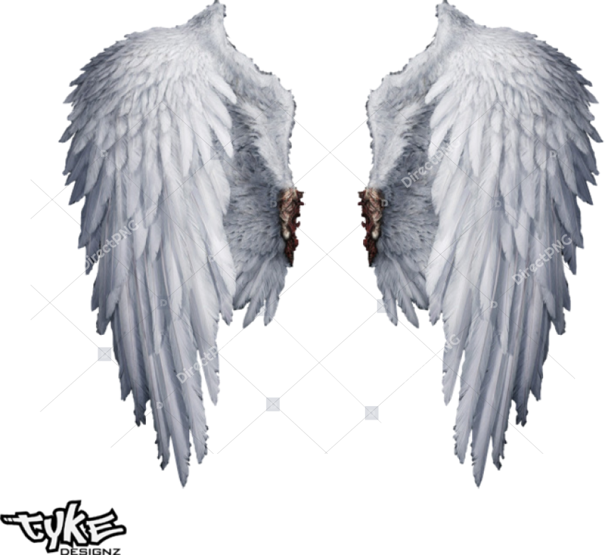 Angel Wings Png Transparent Transparent Background