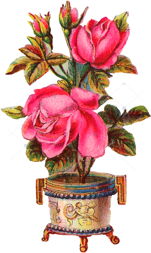 Beautiful Flower Vase Png Pink Beautiful Flowers Vase, Transparent Png