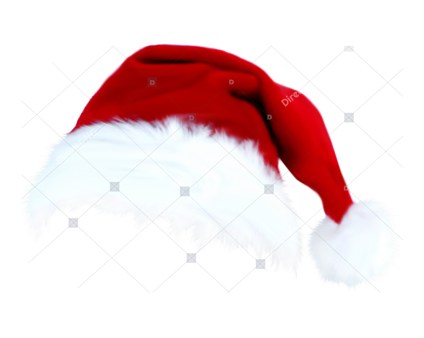 Santa Claus Santa Claus Hat