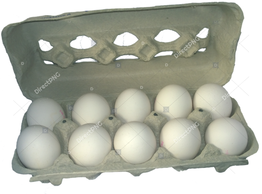 Transparent Egg Carton Clipart Carton Of Eggs Png