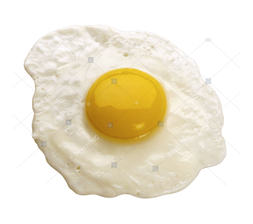 Raw Egg White & Yolk PNG
