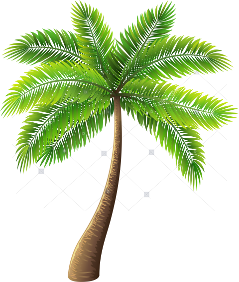 Palm Tree Png Clip Art Transparent Palm Tree Png