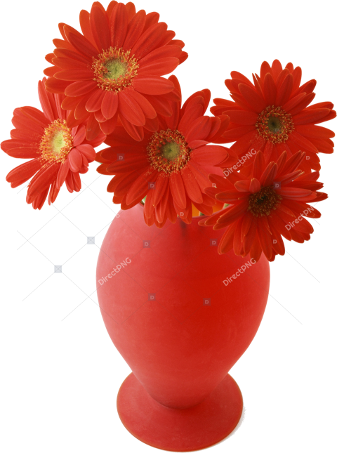 Red Carnations in a Vase PNG