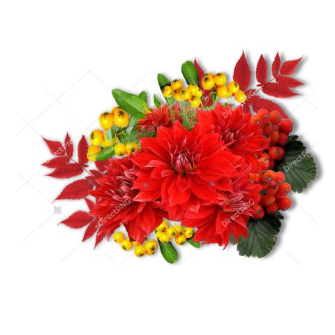 Red Rose Garland PNG