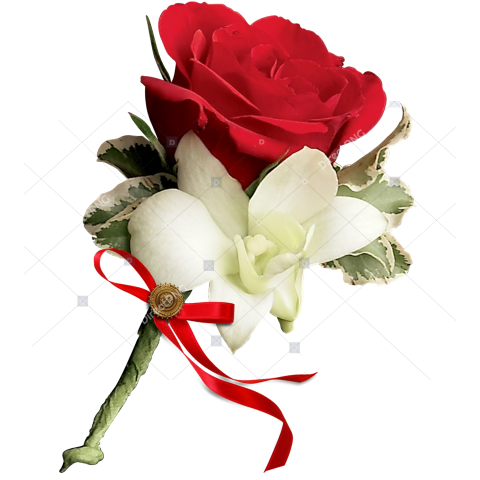 White & Black Rose PNG