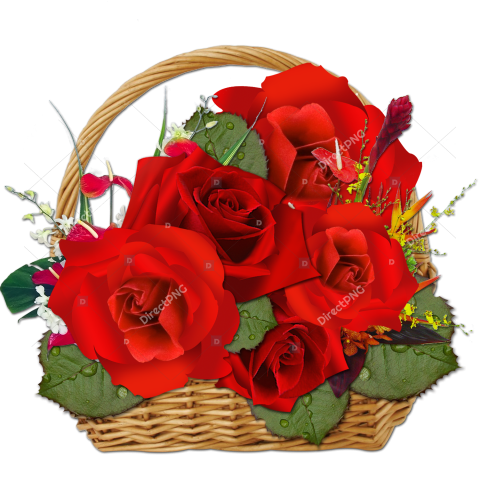 Romantic Red Rose PNG