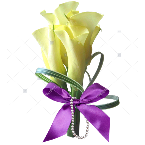 Yellow Lily Flower PNG